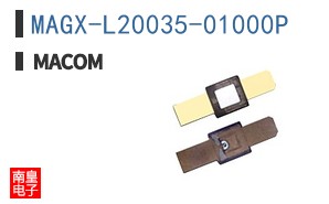 MAGX-L20035-01000P