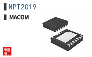 NPT2019