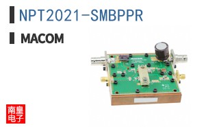 NPT2021-SMBPPR