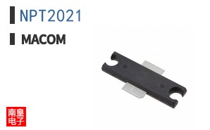 NPT2021