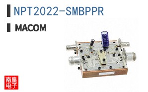 NPT2022-SMBPPR